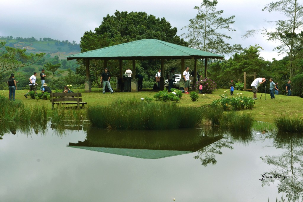 Foto: Freddo Leche Tours - Poasito de Alajuela (Alajuela), Costa Rica