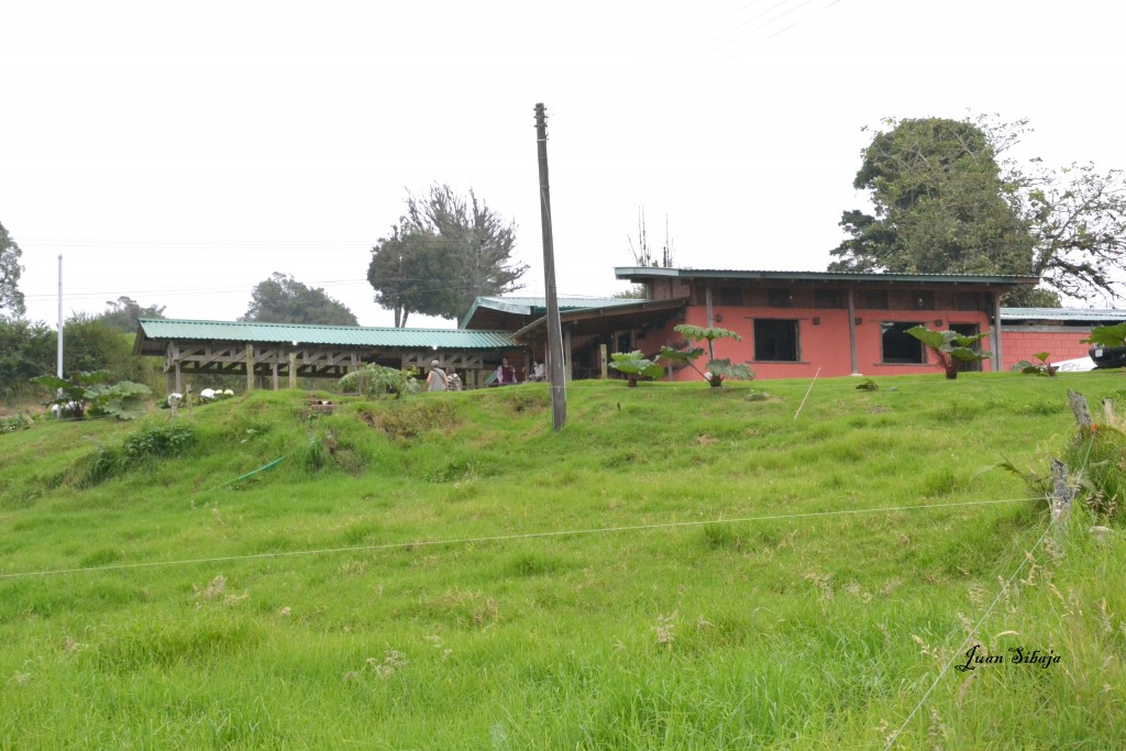 Foto: Freddo Leche Tours - Poasito de Alajuela (Alajuela), Costa Rica