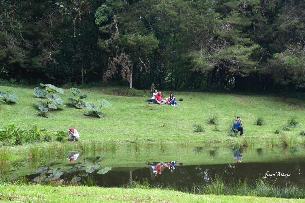 Foto: Freddo Leche Tours - Poasito de Alajuela (Alajuela), Costa Rica