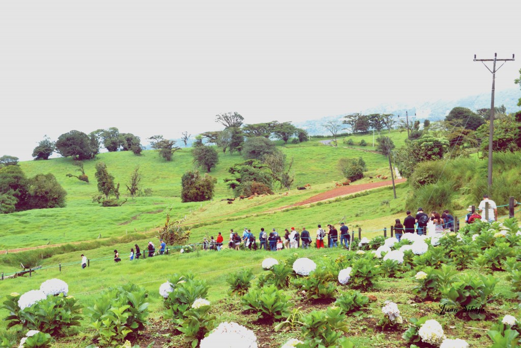 Foto: Freddo Leche Tours - Poasito de Alajuela (Alajuela), Costa Rica