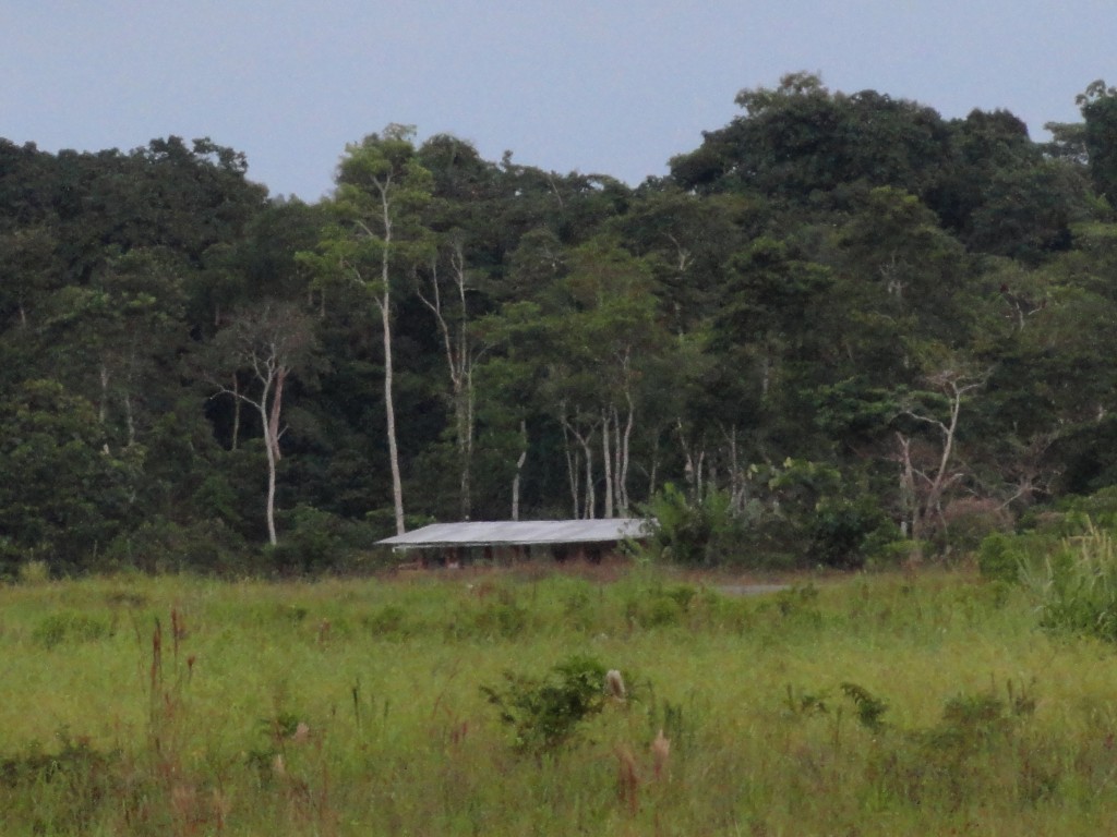 Foto: Casa - Tena (Napo), Ecuador