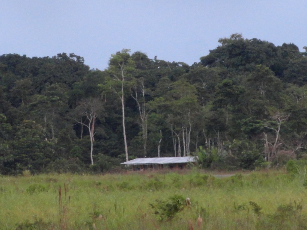 Foto: Casa - Tena (Napo), Ecuador