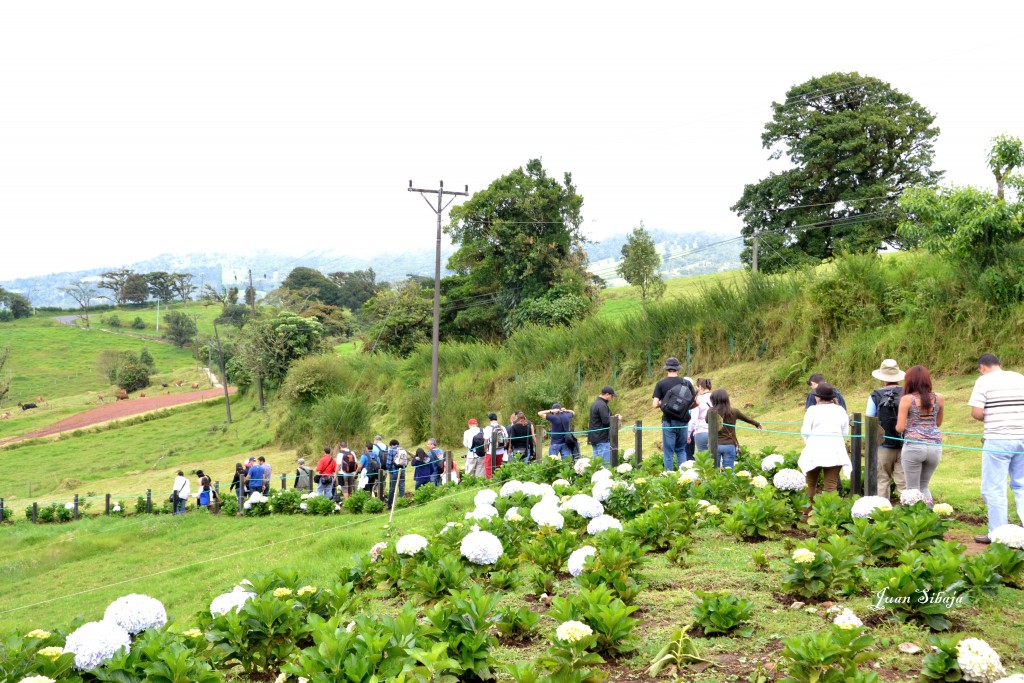 Foto: Freddo Leche Tours - Poasito de Alajuela (Alajuela), Costa Rica