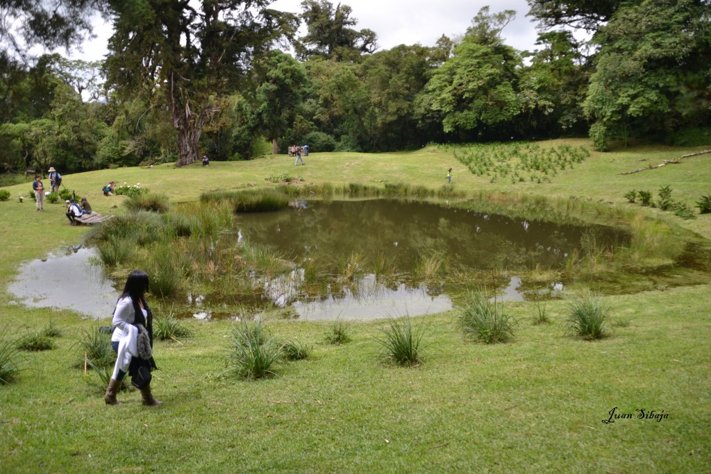 Foto: Freddo Leche Tours - Poasito de Alajuela (Alajuela), Costa Rica