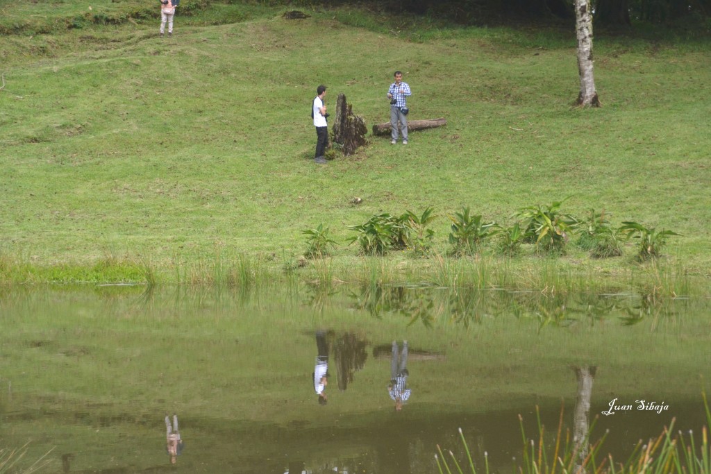 Foto: Freddo Leche Tours - Poasito de Alajuela (Alajuela), Costa Rica