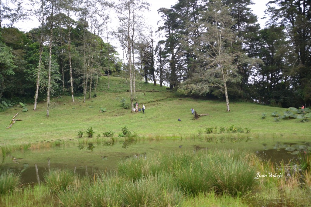 Foto: Freddo Leche Tours - Poasito de Alajuela (Alajuela), Costa Rica