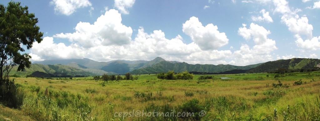Foto: La Placera - Maracay (Aragua), Venezuela