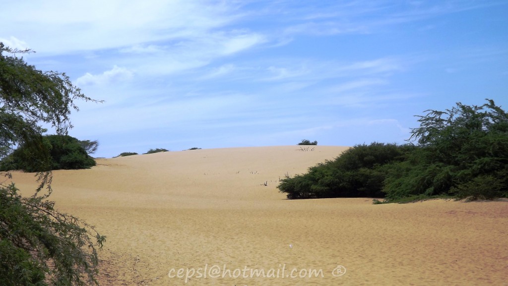 Foto de Coro (Falcón), Venezuela