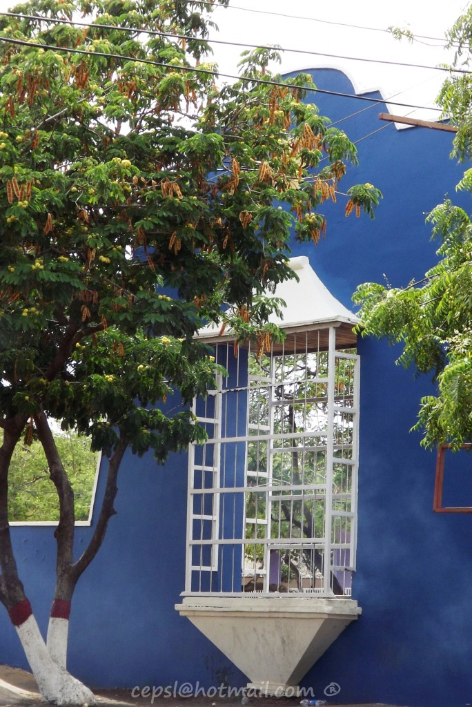 Foto: Balcones Coloniales, Fachada Azul - Coro (Falcón), Venezuela