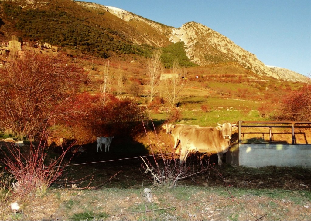 Foto: Fórnols de Cadí - Fórnols (Lleida), España