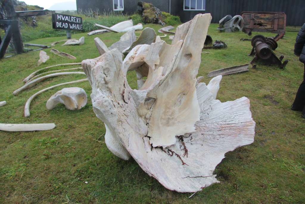 Foto de Hellissandur, Islandia