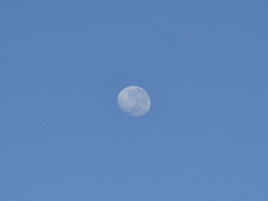 Foto: Luna - Ibarra (Imbabura), Ecuador