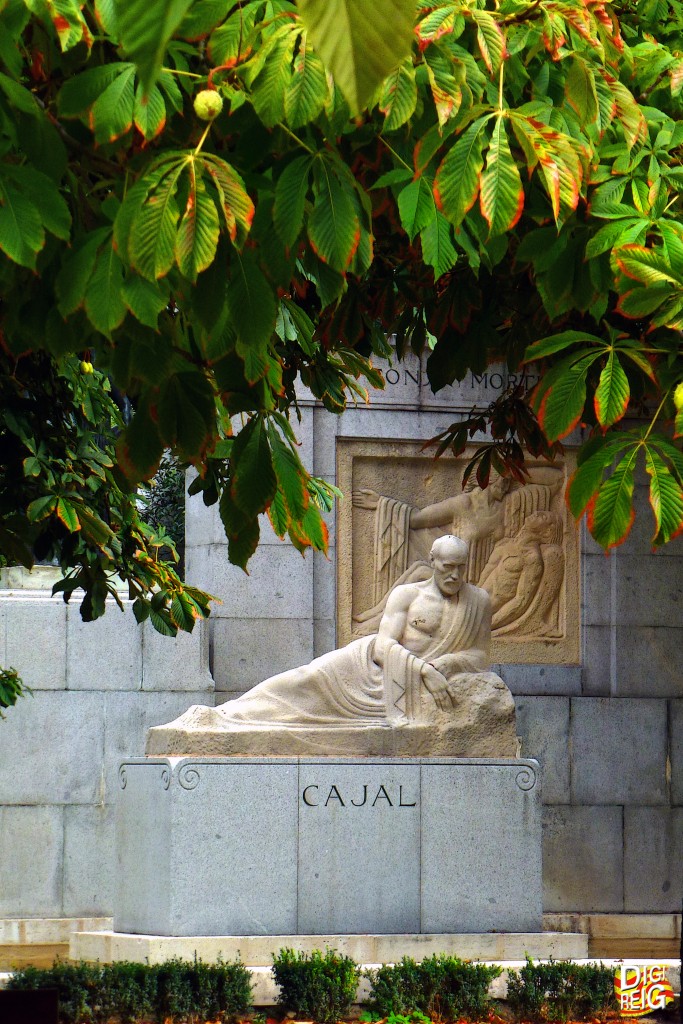 Foto: Monumento Ramón y Cajal-Parque del Retiro - Madrid (Comunidad de Madrid), España