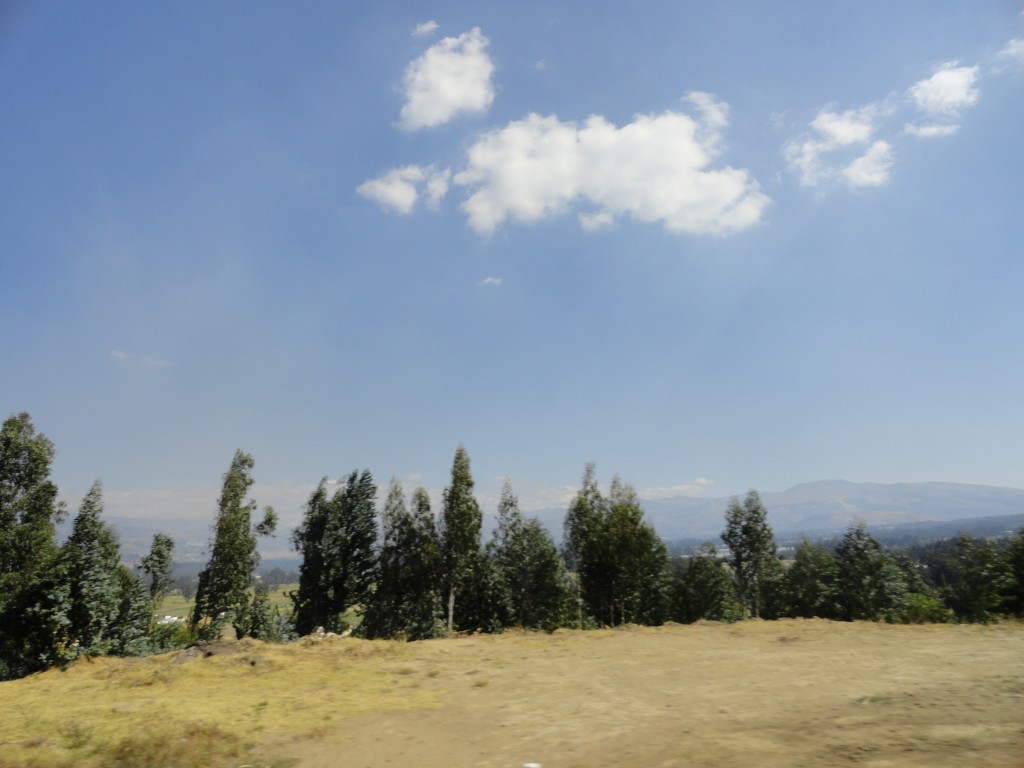 Foto: Camino a  Cayambe - Cayambe (Pichincha), Ecuador