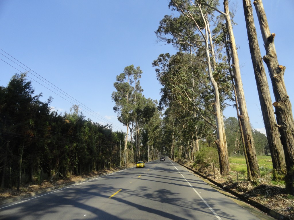 Foto: Camino a  Cayambe - Cayambe (Pichincha), Ecuador