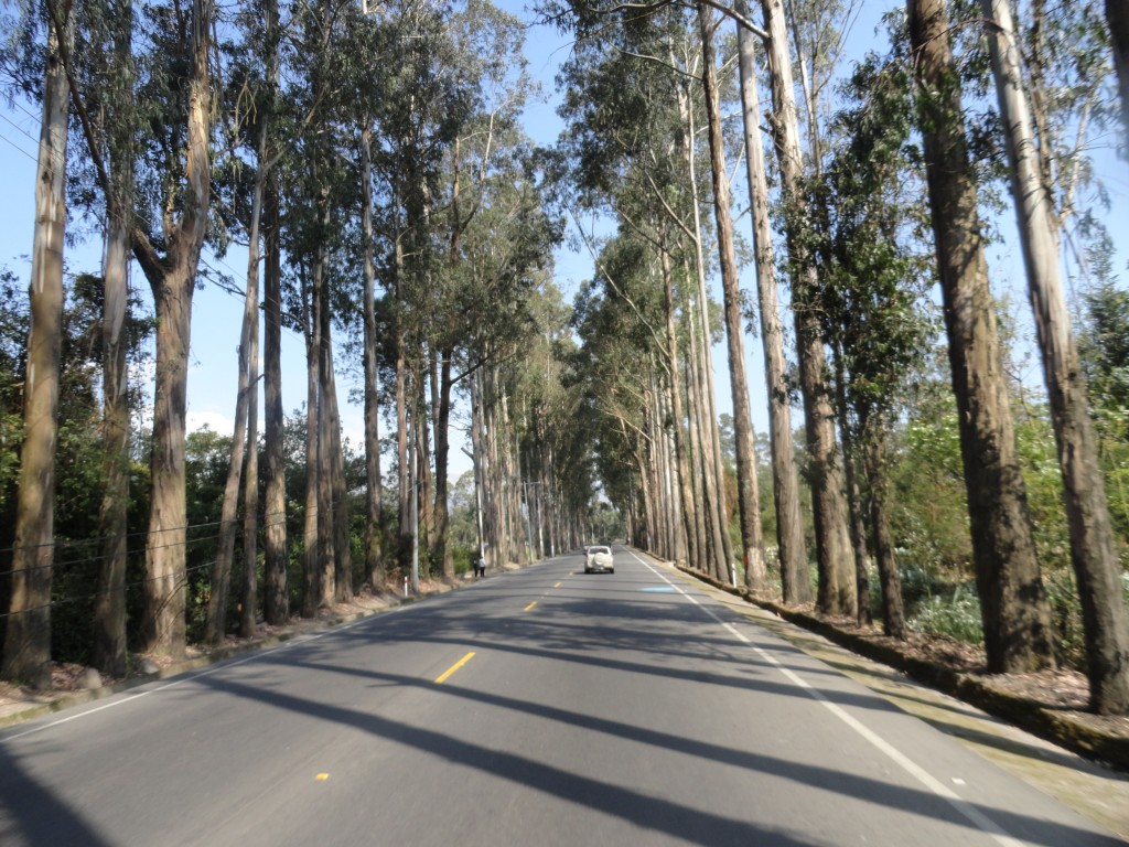 Foto: Camino a Cayambe - Cayambe (Pichincha), Ecuador