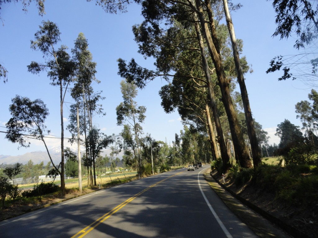 Foto: Camino a Cayambe - Cayambe (Pichincha), Ecuador