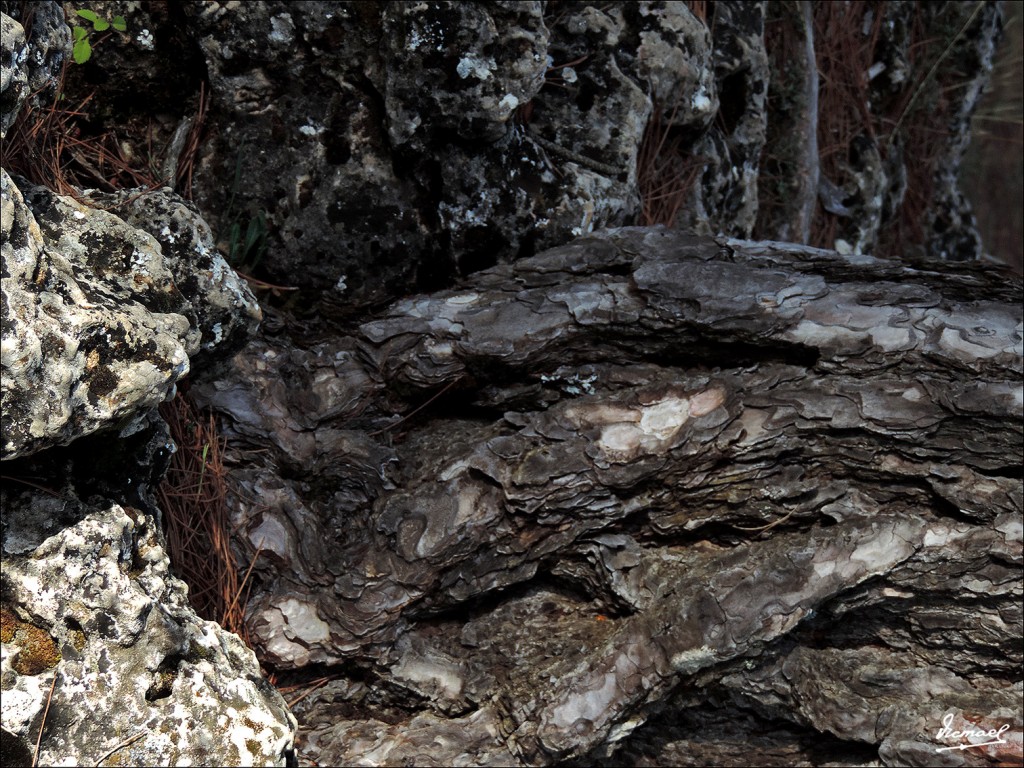 Foto: 131025-032 CIUDAD ENCANTADA - Cuenca (Castilla La Mancha), España