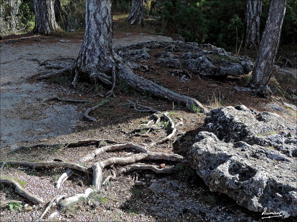 Foto: 131025-086 CIUDAD ENCANTADA - Cuenca (Castilla La Mancha), España