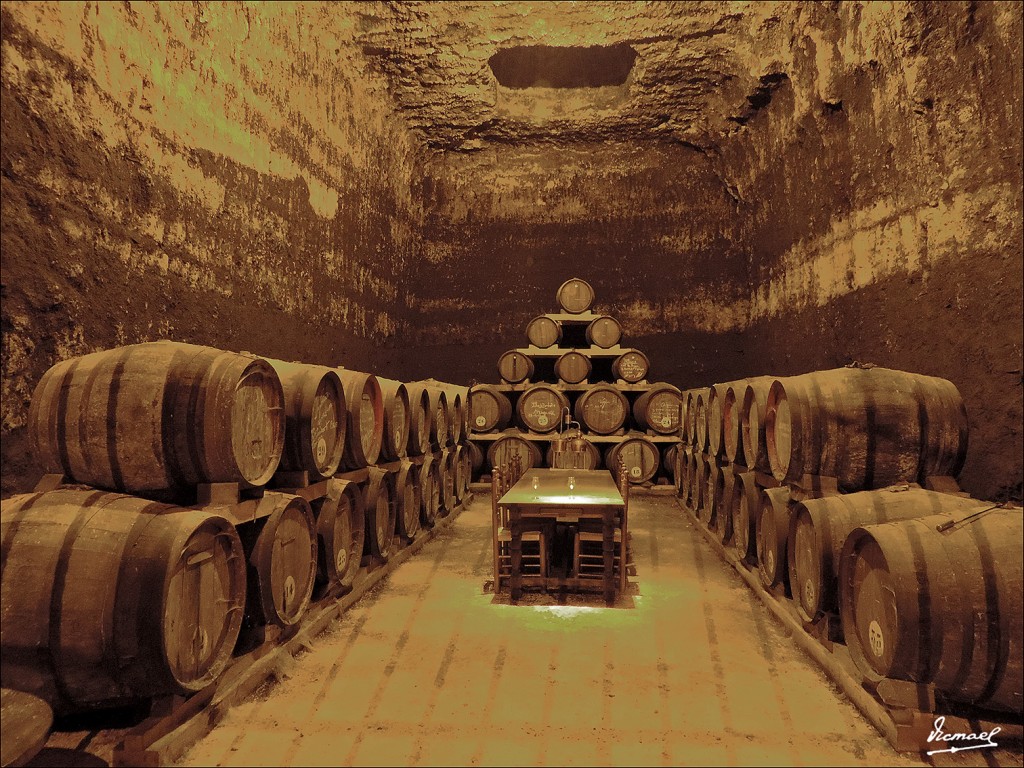 Foto: 131027-157 TOMELLOSO, ALTOSA - Tomelloso (Ciudad Real), España