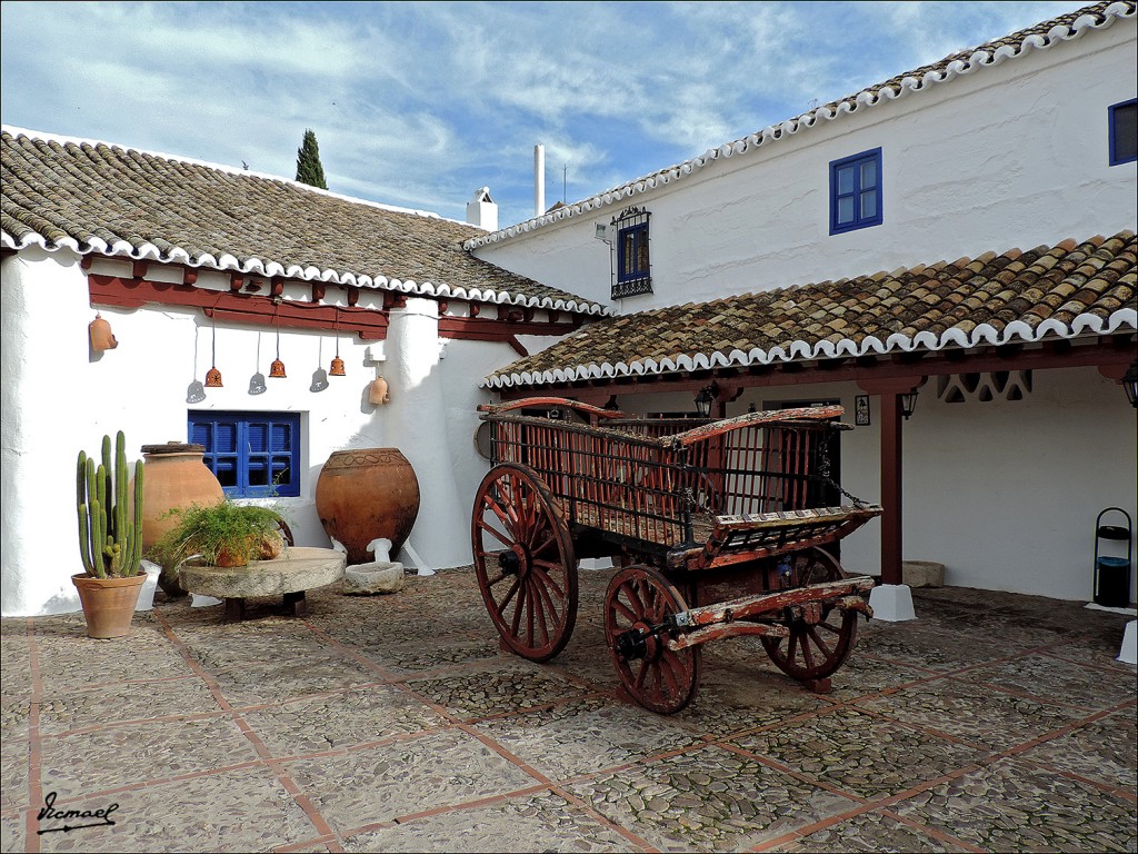 Foto: 131028-135 CONSUEGRA - Consuegra (Toledo), España
