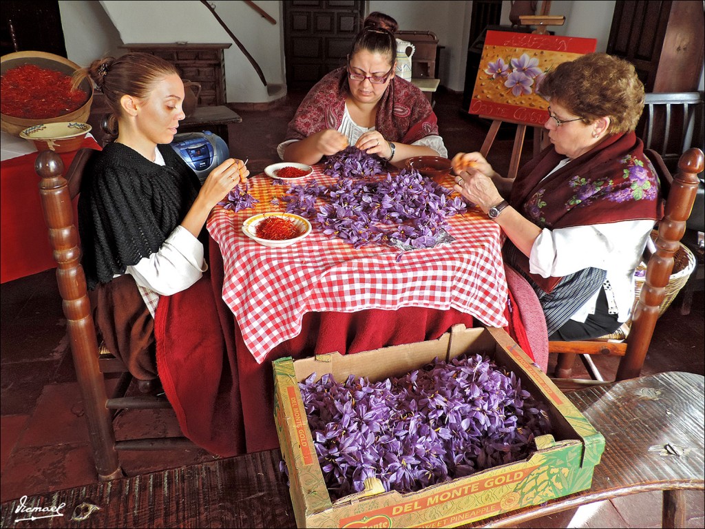 Foto: 131028-141 CONSUEGRA - Consuegra (Toledo), España