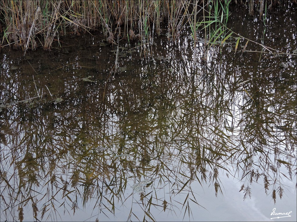 Foto: 131028-169 TABLAS DE DAIMIEL - Daimiel (Ciudad Real), España