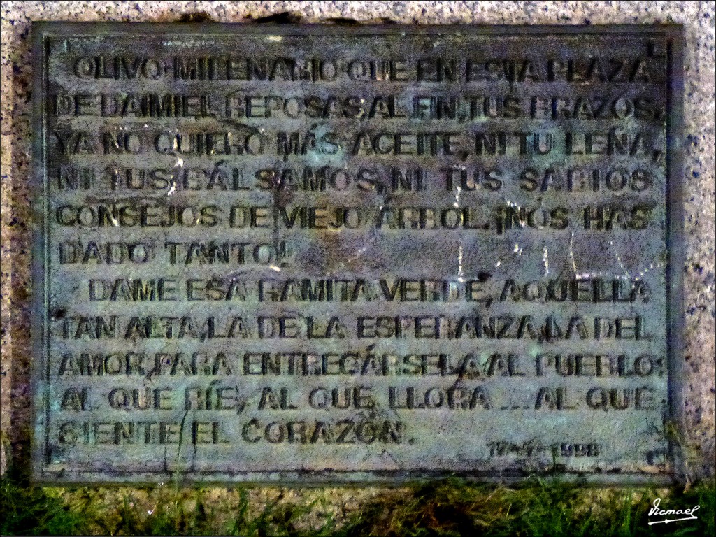 Foto: 131028-233 DAIMIEL - Daimiel (Ciudad Real), España