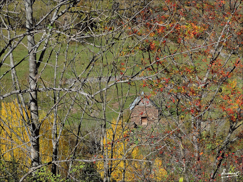 Foto: 131106-18 VALLE VIADOS - Valle Viados (Huesca), España