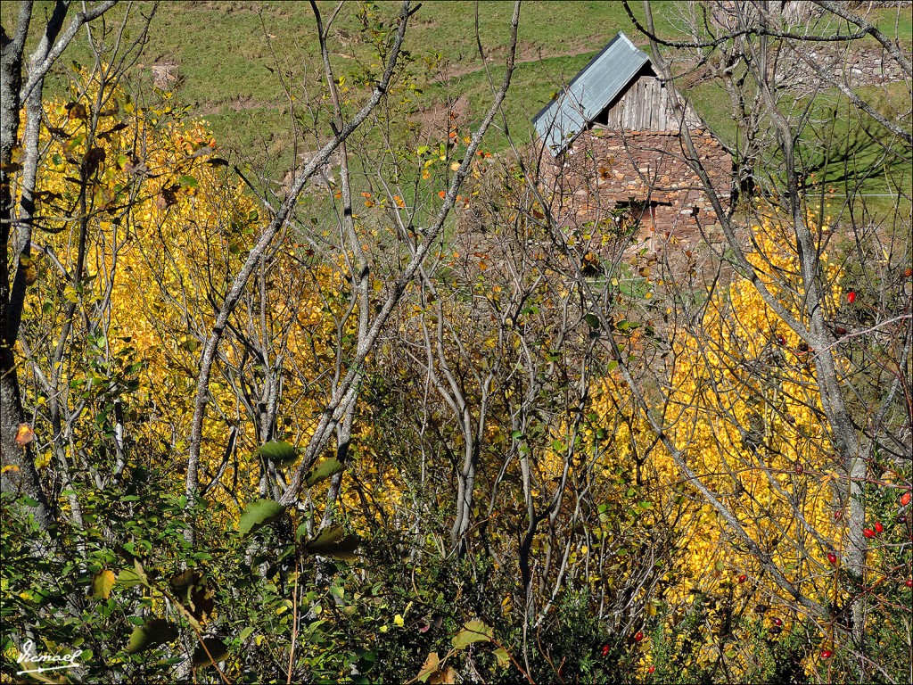 Foto: 131106-19 VALLE VIADOS - Valle Viados (Huesca), España