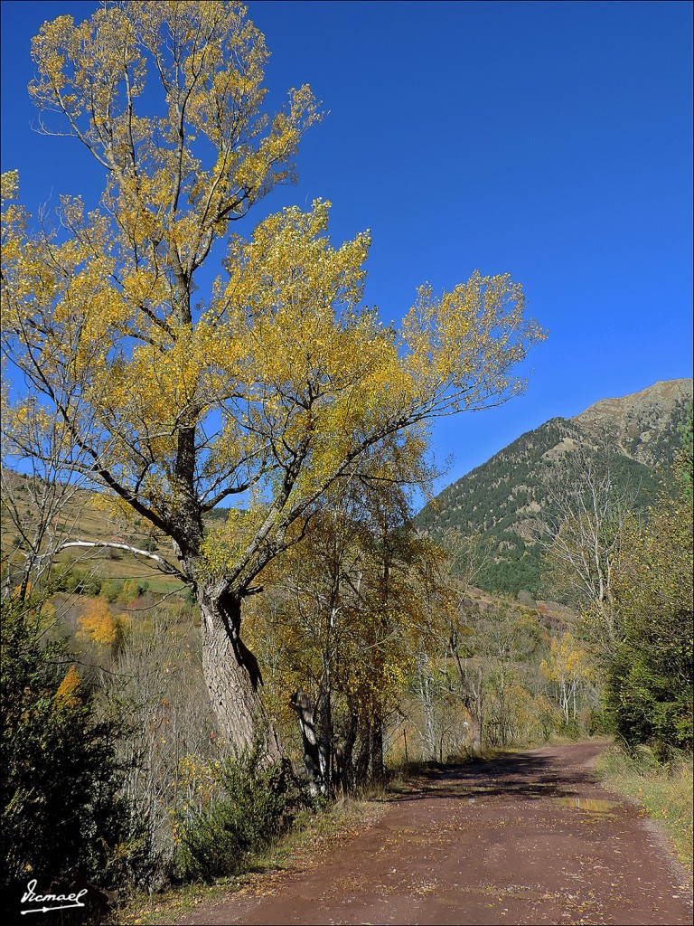 Foto: 131106-21 VALLE VIADOS - Valle Viados (Huesca), España