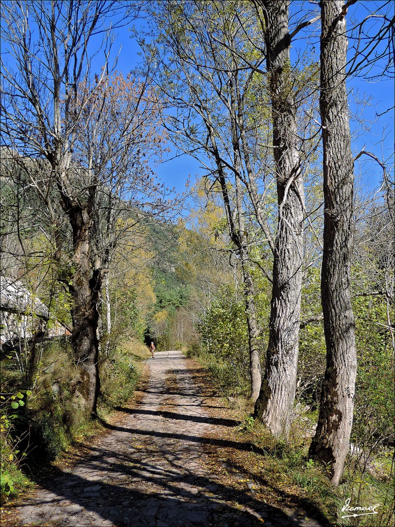 Foto: 131106-29 VALLE VIADOS - Valle Viados (Huesca), España