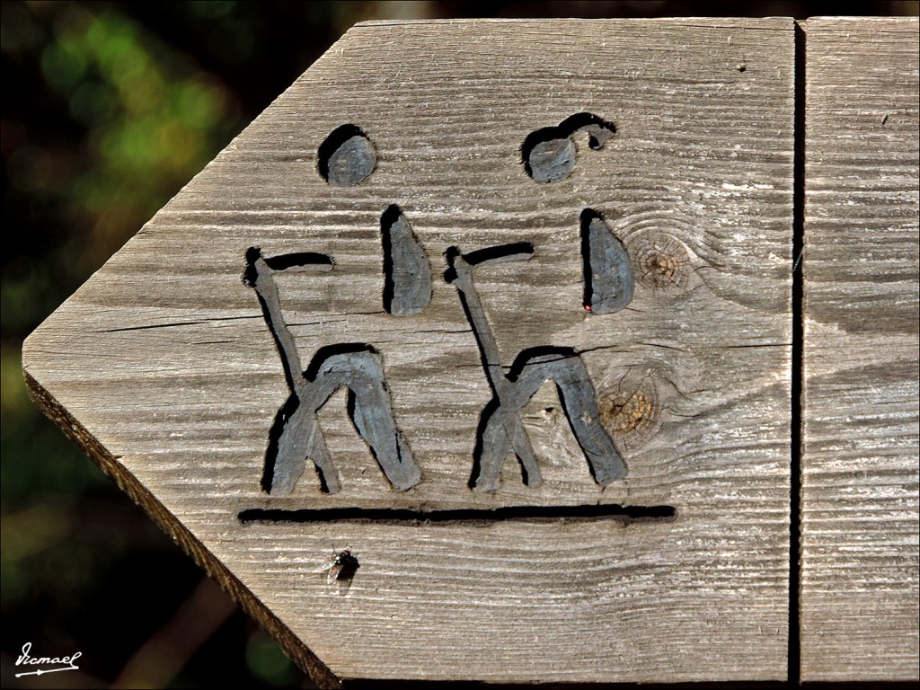 Foto: 131106-31 VALLE VIADOS - Valle Viados (Huesca), España