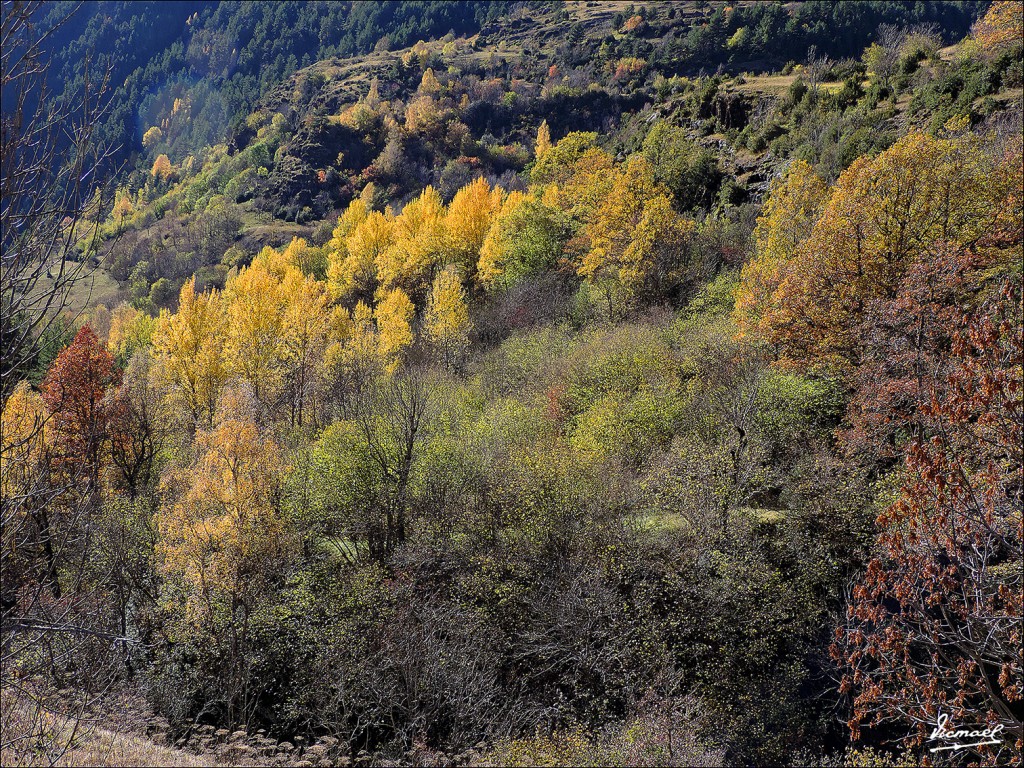 Foto: 131106-37 VALLE VIADOS - Valle Viados (Huesca), España