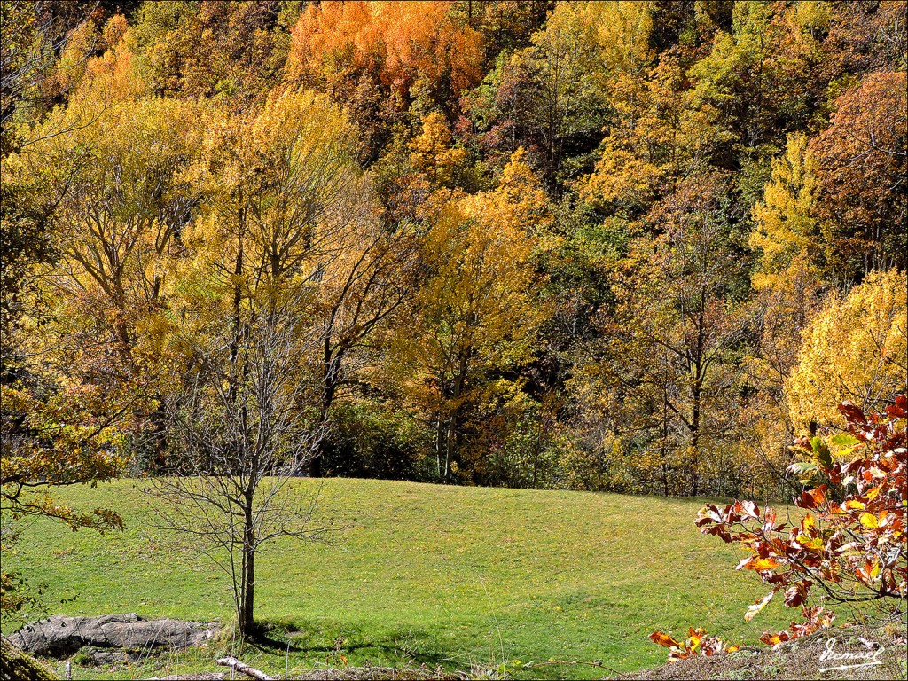 Foto: 131106-39 VALLE VIADOS - Valle Viados (Huesca), España