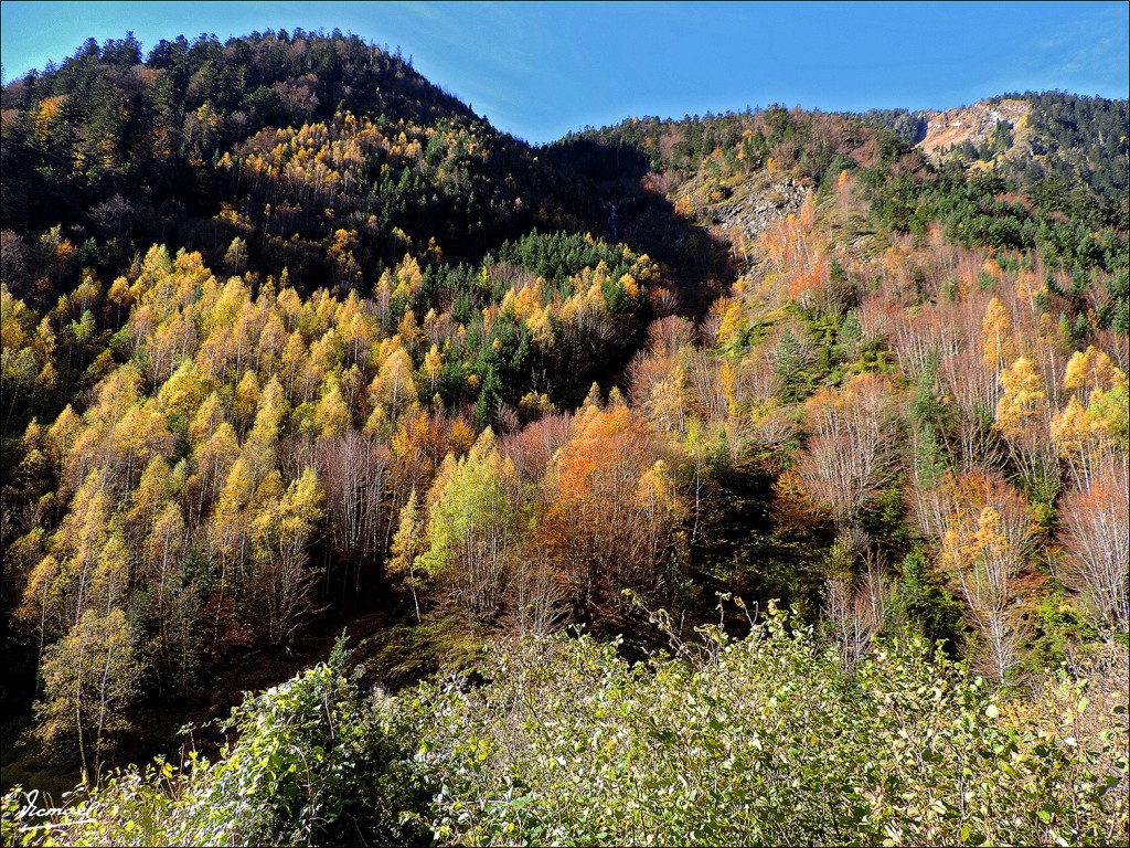 Foto: 131107-29 FRANCE-VALLE D'AURE - Valle De Aure (Midi-Pyrénées), Francia