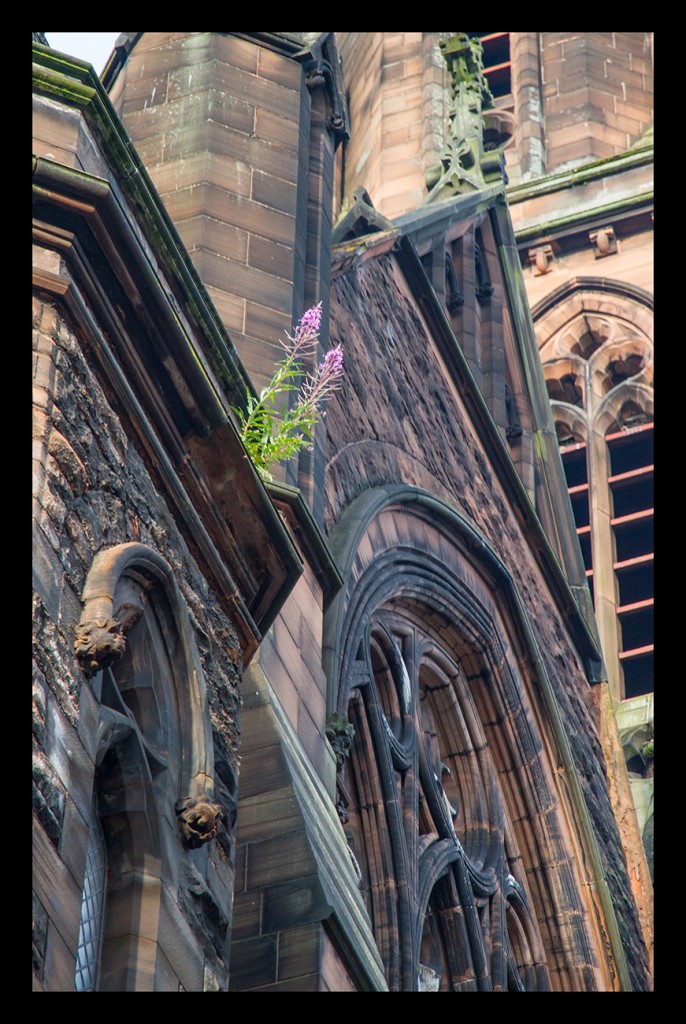 Foto de Glasgow (Scotland), El Reino Unido