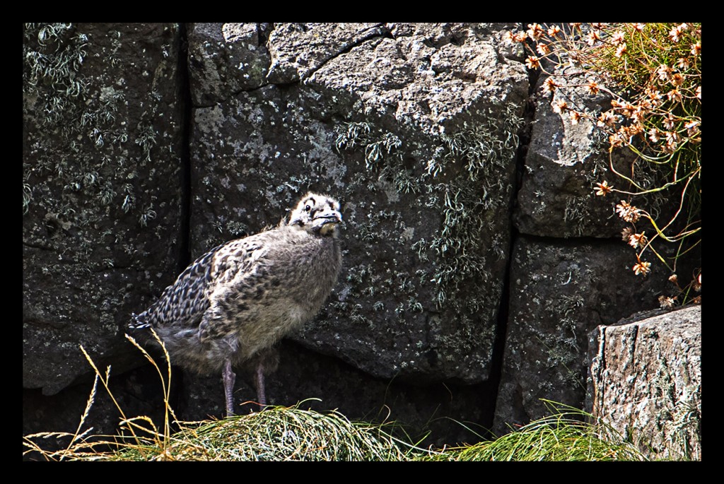 Foto de Escocia (Scotland), El Reino Unido