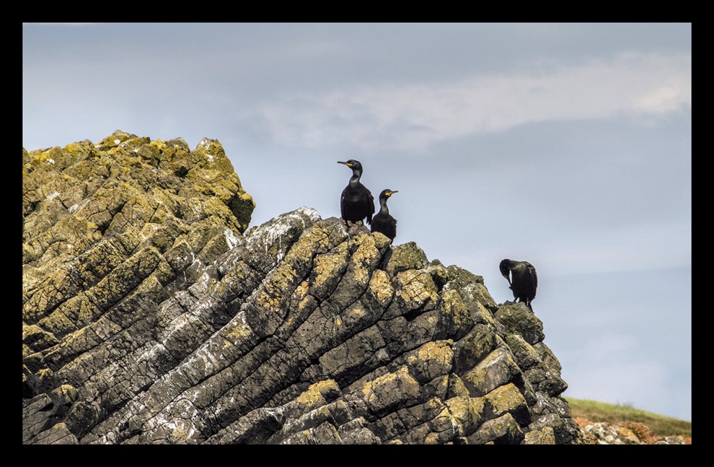 Foto de Staffa (Scotland), El Reino Unido
