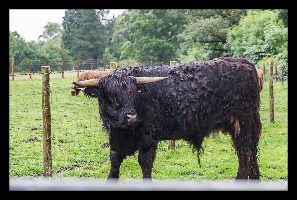Foto de Highland (Scotland), El Reino Unido