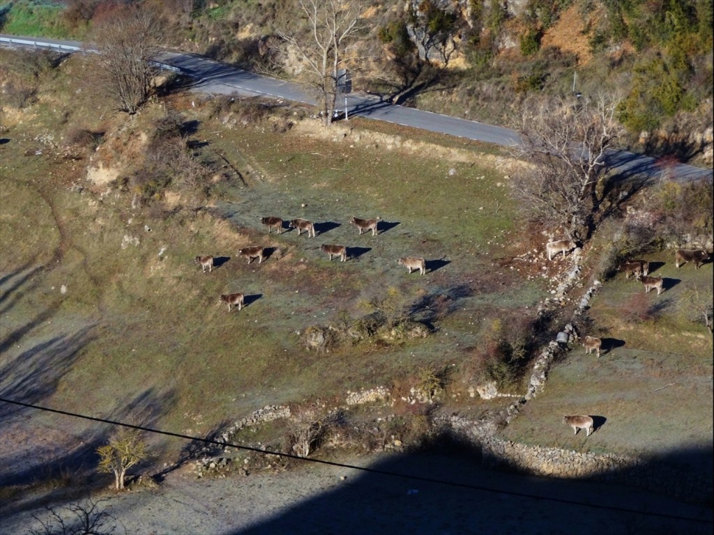 Foto: Vall de la Vansa - Tuixent (Lleida), España