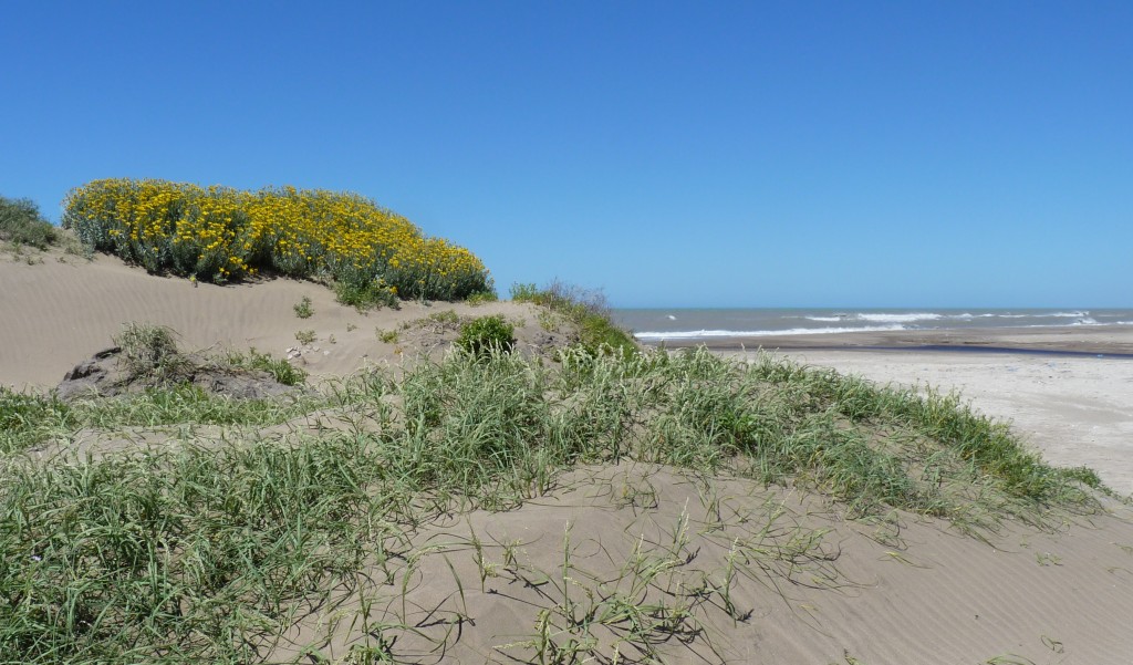 Foto de Marchiquita (Buenos Aires), Argentina