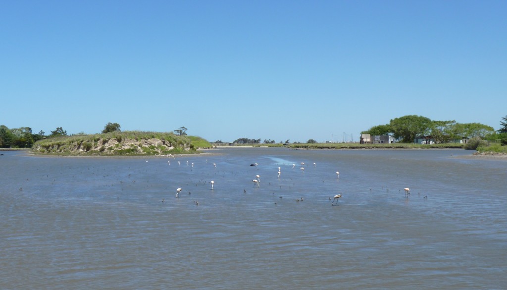 Foto de Marchiquita (Buenos Aires), Argentina