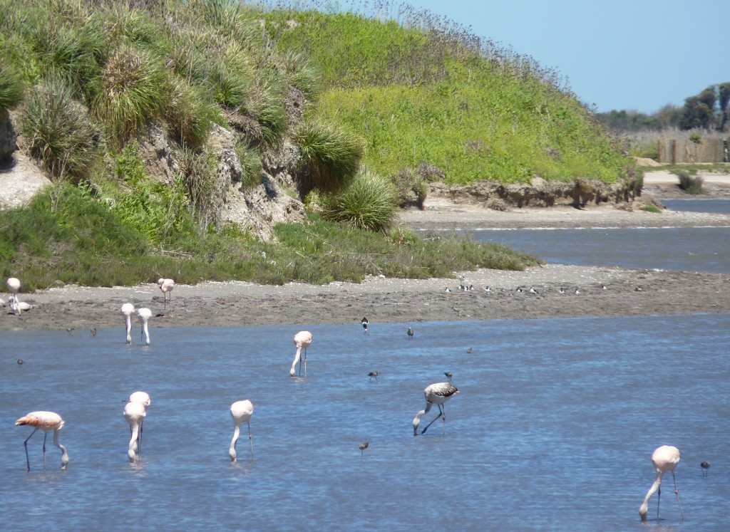 Foto de Marchiquita (Buenos Aires), Argentina