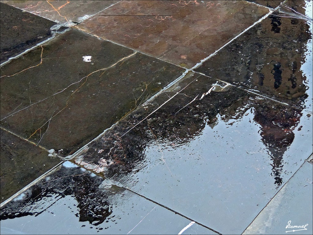 Foto: 131117-10 ZARAGOZA. LA SEO - Zaragoza (Aragón), España