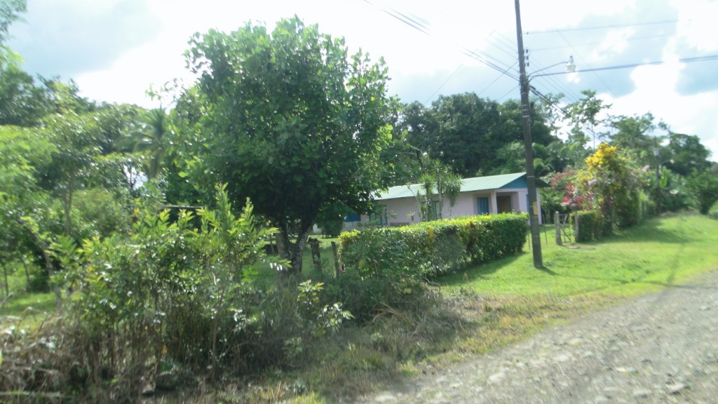 Foto: Llano Azul - Upala (Alajuela), Costa Rica