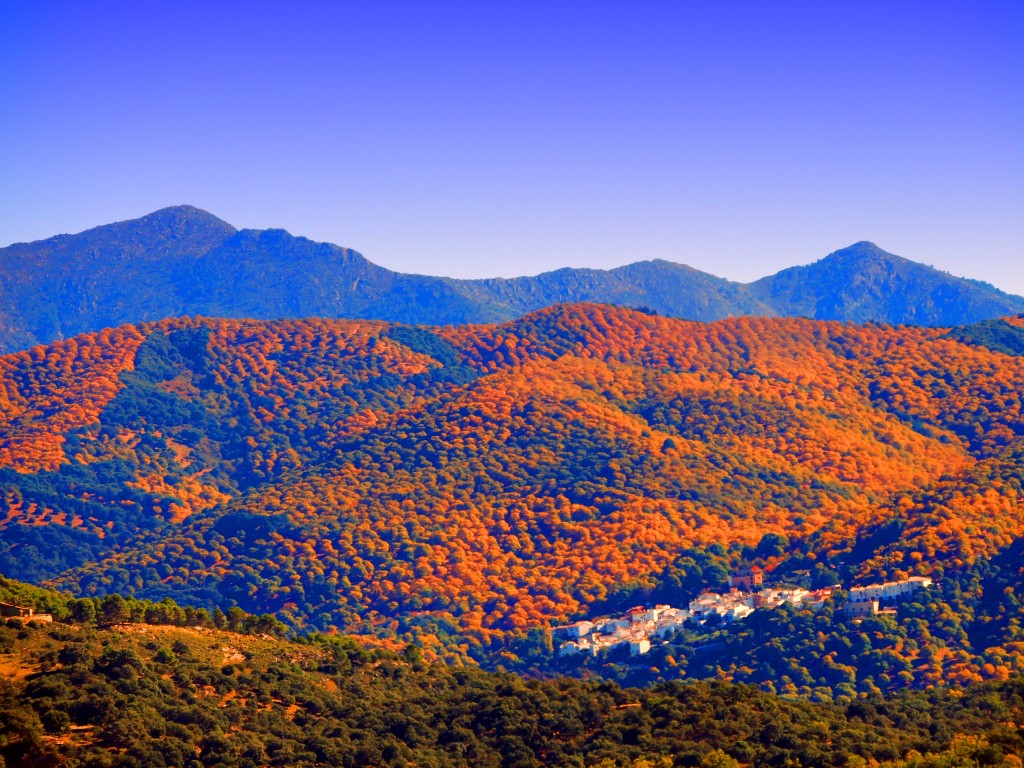 Foto: Pujerra - Atajate (Málaga), España