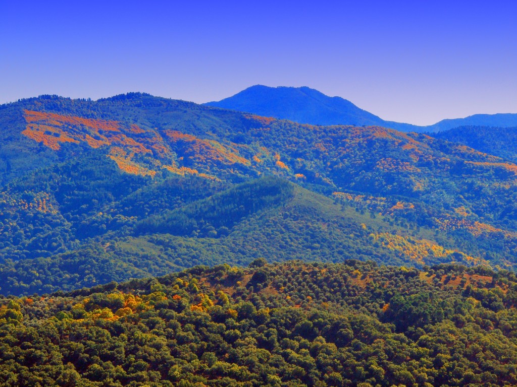 Foto: Los Reales - Atajate (Málaga), España