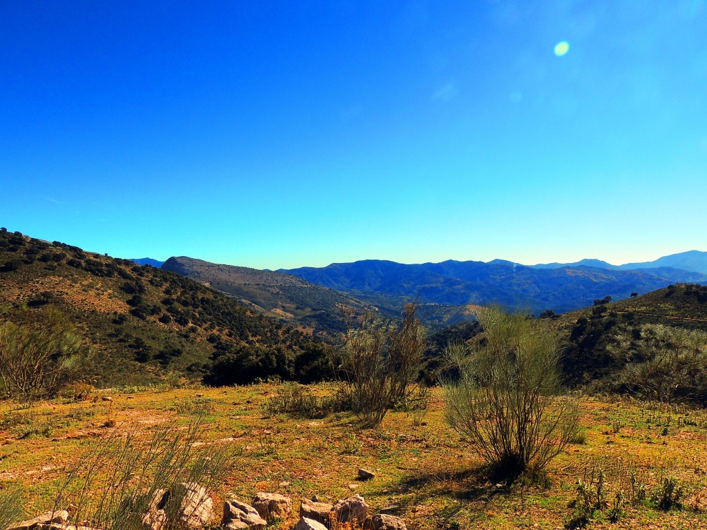 Foto: Valle del Genal - Atajate (Málaga), España