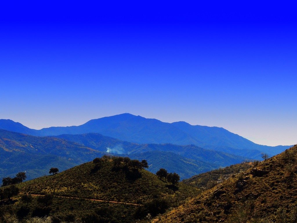 Foto: Los Reales - Atajate (Málaga), España